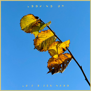 男生女生性爱高潮免费视频播放
